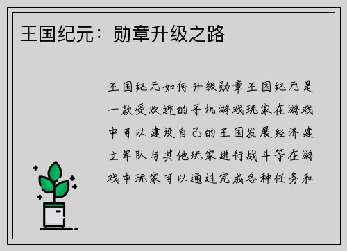 王国纪元：勋章升级之路