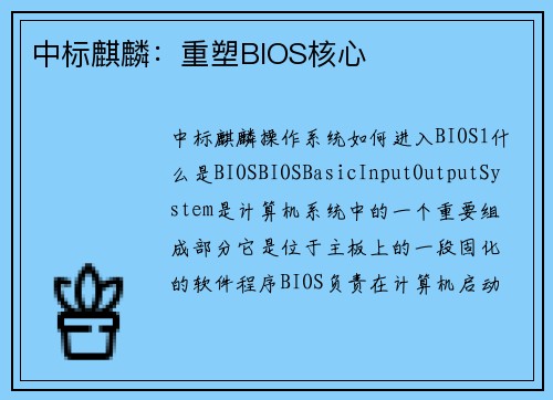 中标麒麟：重塑BIOS核心
